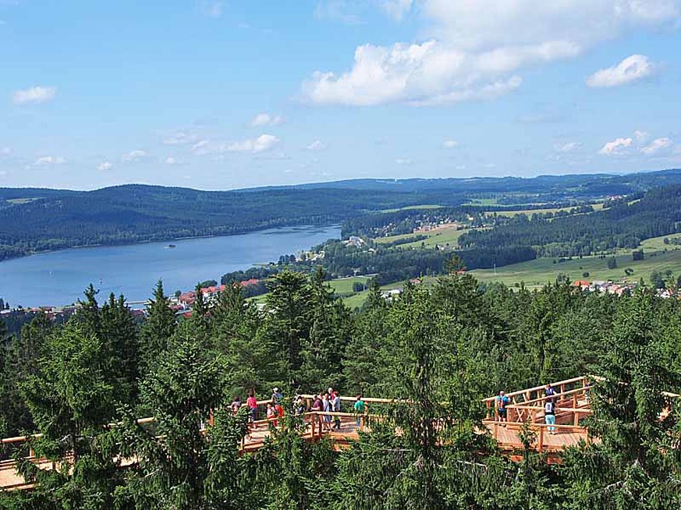Ausblick vom Baumwipfelpfad in Lipno in Tschechien
