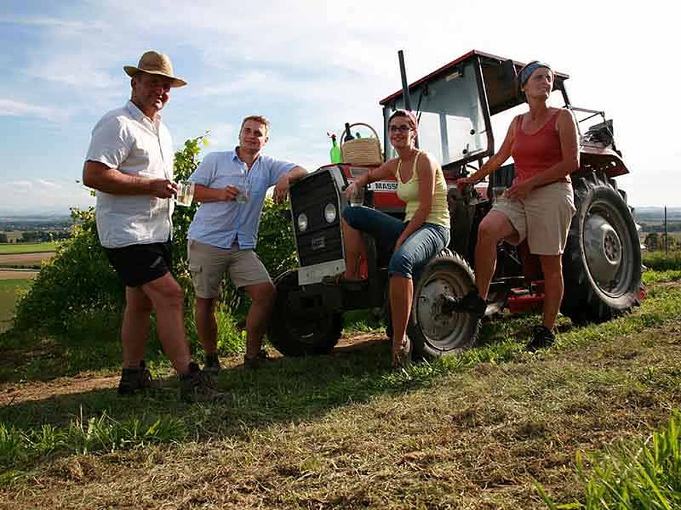 beim Gmeiner Weinbauer auf dem Feld mit Traktor und Mitarbeitern