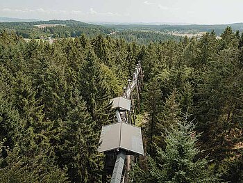 Luftaufnahme vom Baumkronenweg