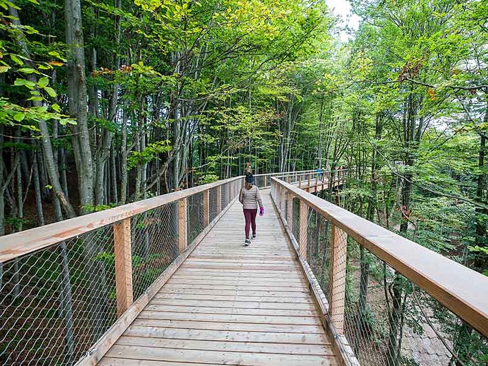 Weg am Baumwipfelpfad im Salzkammergut am Grünberg