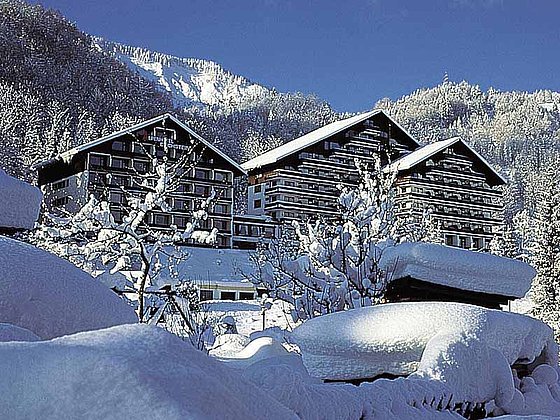 Alpenhotel Dachstein, Bad Goisern
