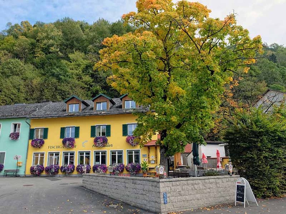 Der Gasthof Aumüller besitzt einen schattigen Gastgarten mit altem Baumbestand