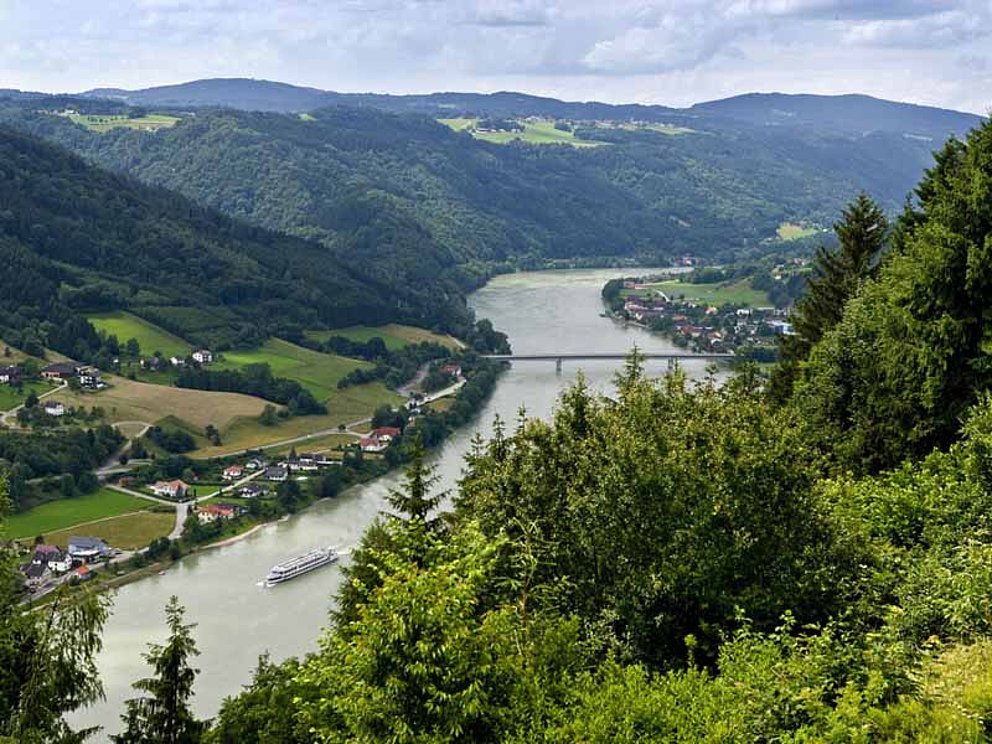 Die Donau durchfließt das bewaldete Donautal
